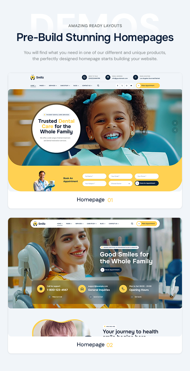 Smiliz WordPress Theme